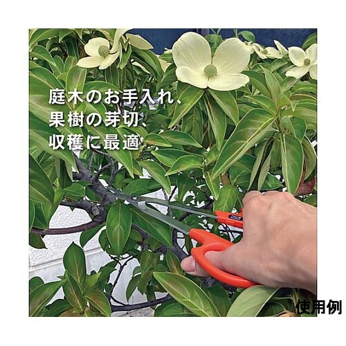 235mm 芽切鋏(ロング柄) EA54