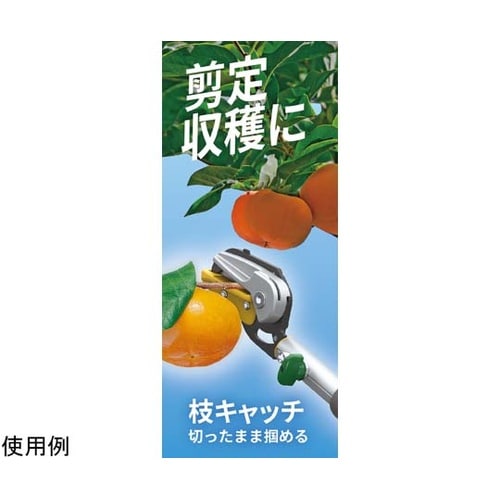 631 替刃3段式高枝切り鋏アンビル刃