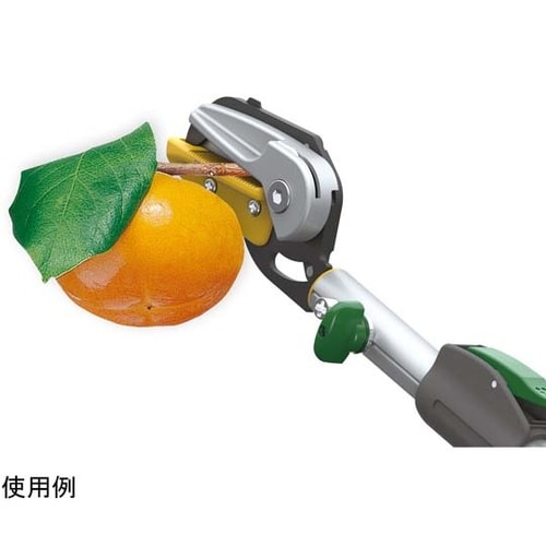 621 替刃2段式高枝切り鋏アンビル刃