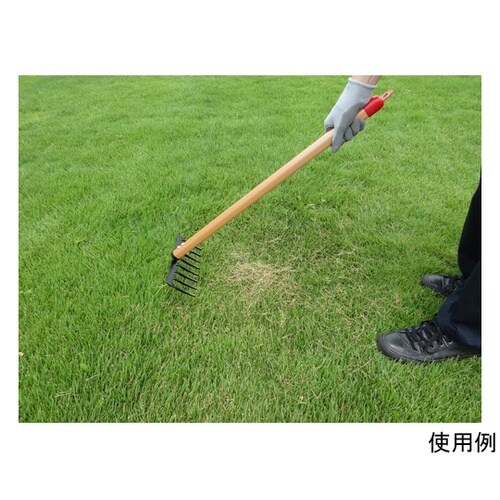 4010 芝生のサッチ取り(小)