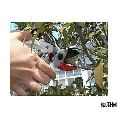 184mm 剪定はさみ(右・左利き共用)