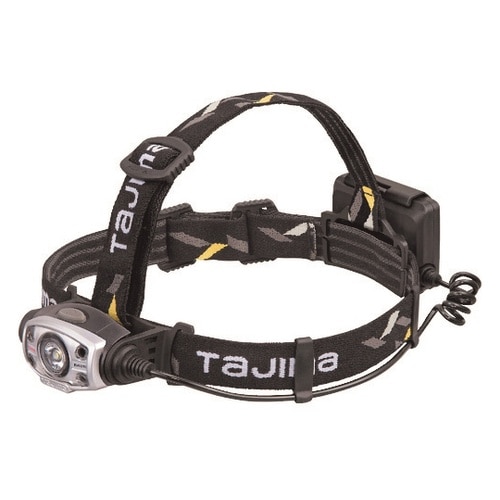 LEE421DSP ヘッドライトセット