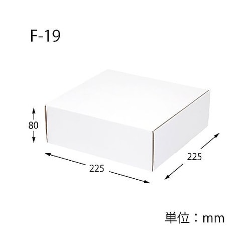 フリーボックス F−19 白無地 10枚
