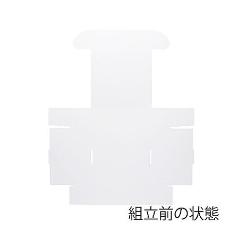 フリーボックス F−19 白無地 10枚