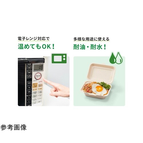 BB竹バガスランチ200−220 クラフ