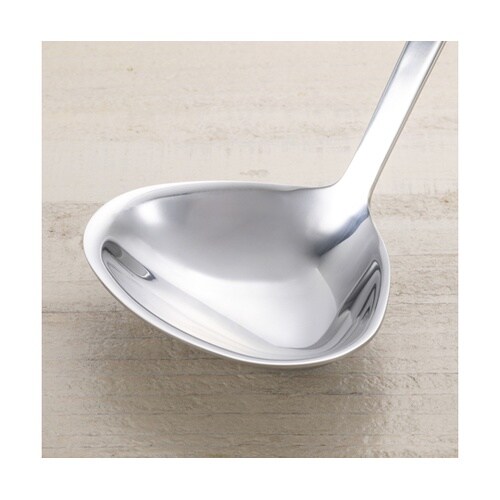 セレクト100 レードル 25cm DH