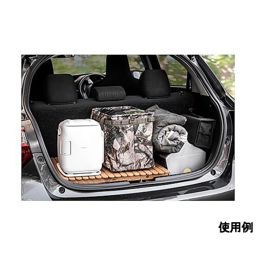 DC12V/AC100V(5.5L) 保