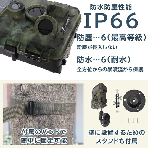 置くだけ簡単「トレイル防犯カメラ」 AU