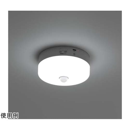 ミニシーリング60W型バッテリー内蔵昼光