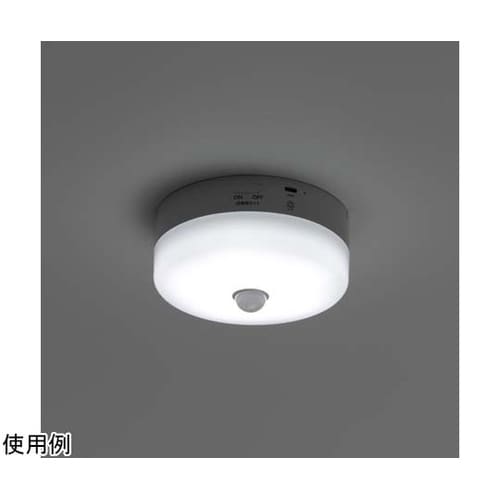 ミニシーリング60W型バッテリー内蔵昼光