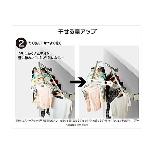 チョイ干し!HOSETA(ホセタ)サオ・