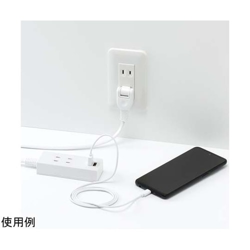 両挿しUSBタップ2個口 2m ホワイト