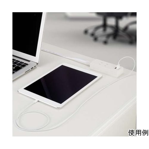 両挿しUSBタップ2個口 2m ホワイト