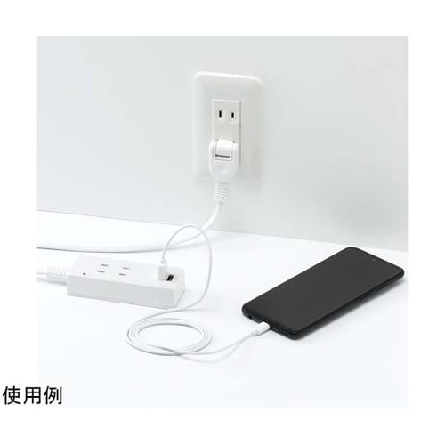 雷ガード付両挿しUSBタップ2個口 2m