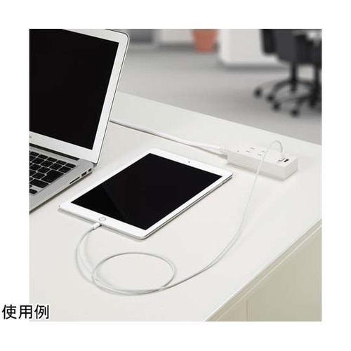 雷ガード付両挿しUSBタップ2個口 2m