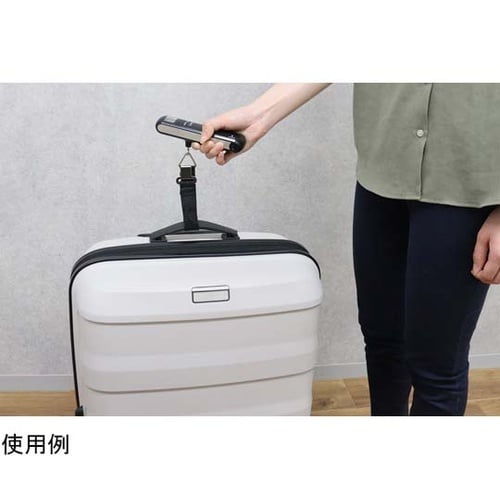 サイズもはかれるラゲッジスケール LS−