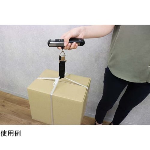 サイズもはかれるラゲッジスケール LS−