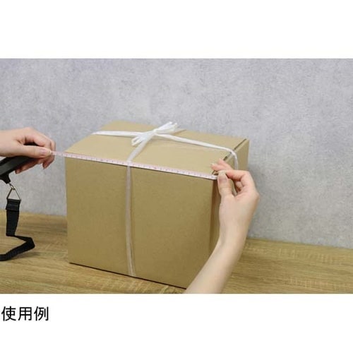 サイズもはかれるラゲッジスケール LS−