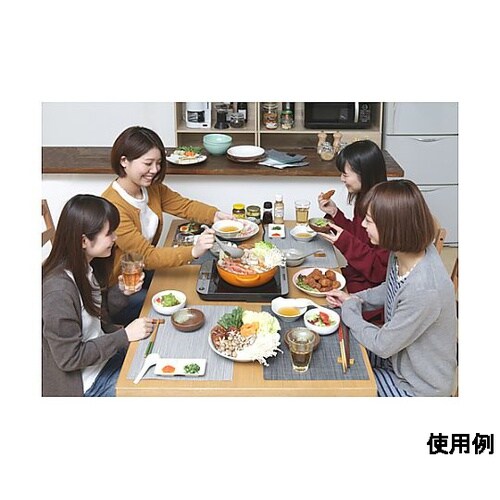 AC100V/1400W 290x360