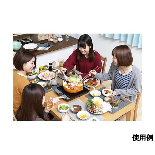 AC100V/1400W 290x360