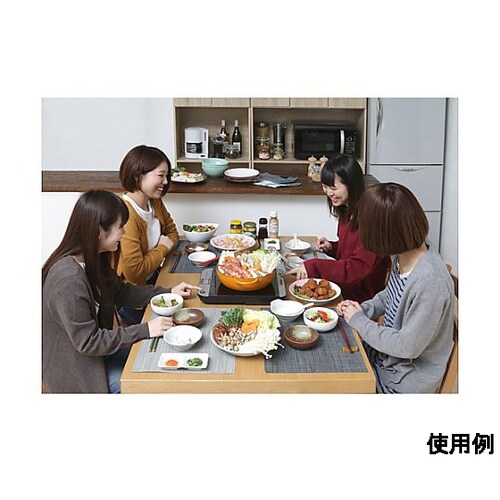 AC100V/1400W 290x360