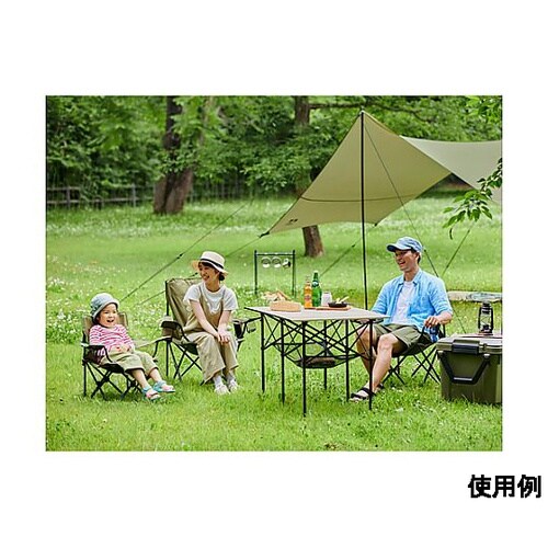 650x400x600mm チェアー(ポ