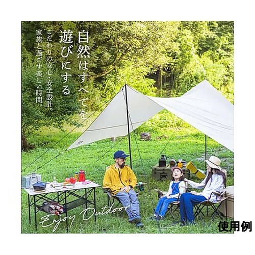 650x400x600mm チェアー(ポ