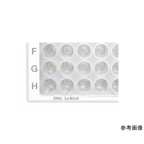 0030503104ディプウェルプレート