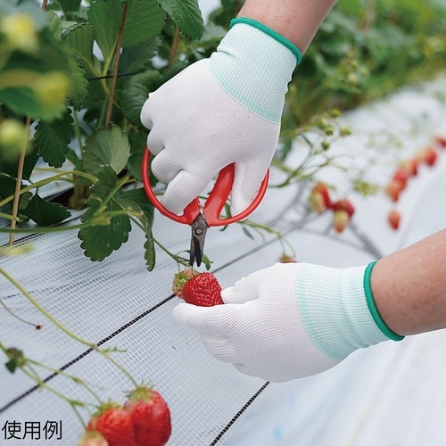 ウレタン背抜き10双組 L 903−L