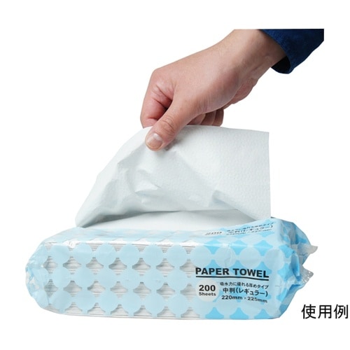 ペーパータオル 中判 厚手 1ケース(2