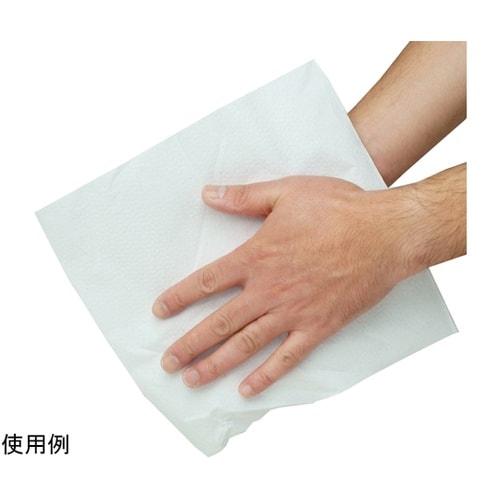 ペーパータオル 中判 厚手 1ケース(2