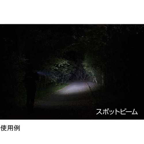 LEDハンディライト 閃シリーズ(ボック