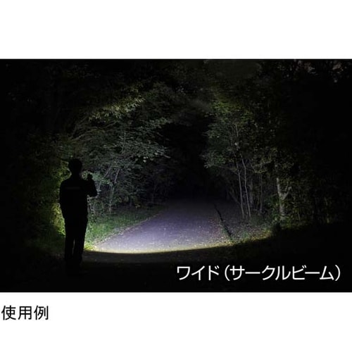 LEDハンディライト 閃シリーズ(ボック