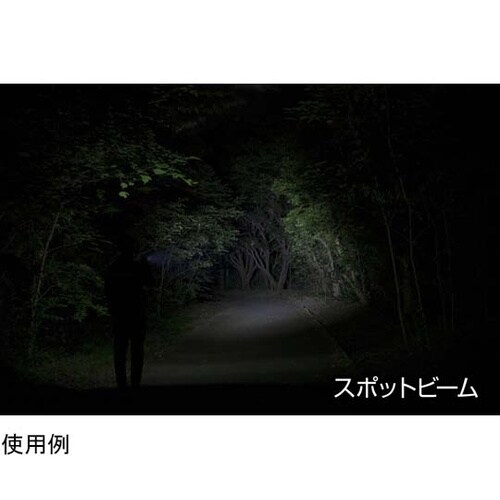 LEDハンディライト 閃シリーズ(ボック