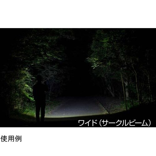 LEDハンディライト 閃シリーズ(ボック