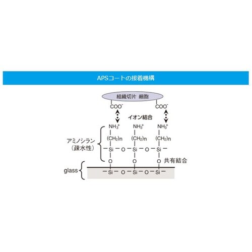 APSコートスライド ブルー20 100