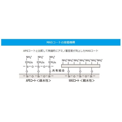 MASコートスライド ブルー20 100