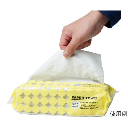 ペーパータオル 小判 厚手 1ケース(2