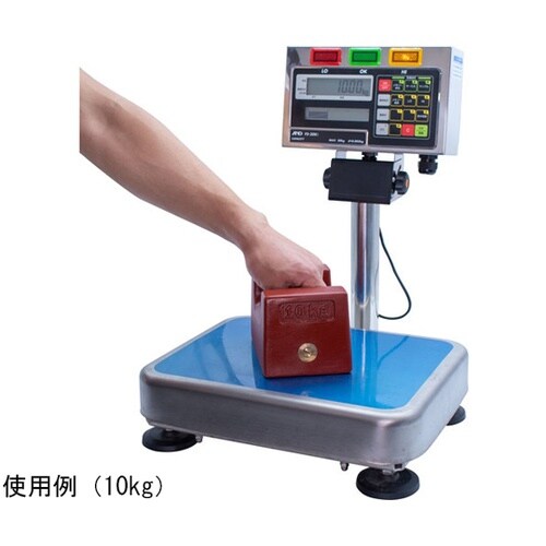 M2RW10KG M2級 鋳鉄製枕型分銅