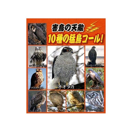 防鳥ソーラードッキリバード 猛鳥コール