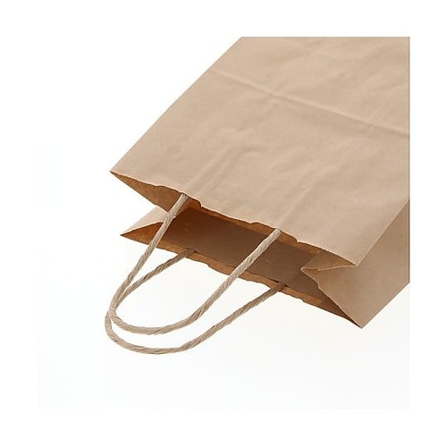 003266210 手提げ紙袋 未晒無地