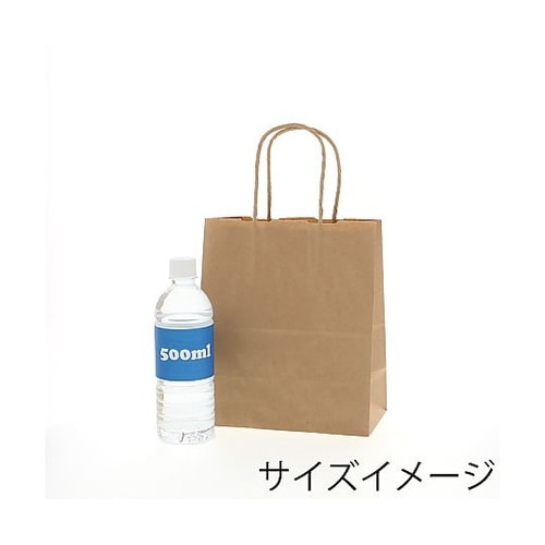 003266210 手提げ紙袋 未晒無地