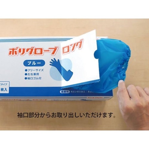 493319 ポリグローブロング ブルー