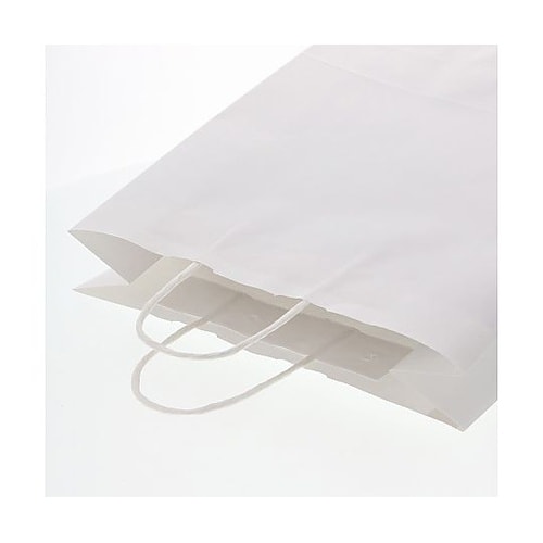 003235801 手提げ紙袋 晒白無地