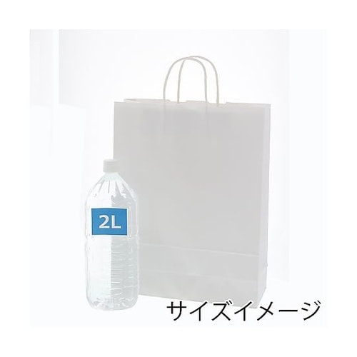 003235801 手提げ紙袋 晒白無地
