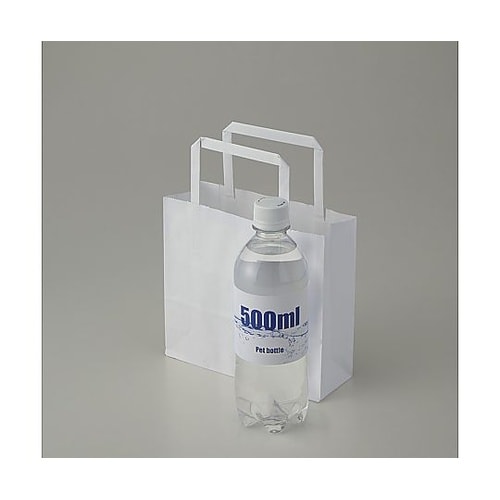 003273221手提げ紙袋平手晒白無地