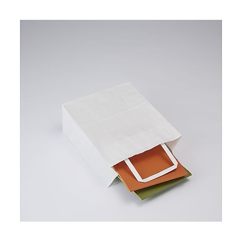 003273221手提げ紙袋平手晒白無地