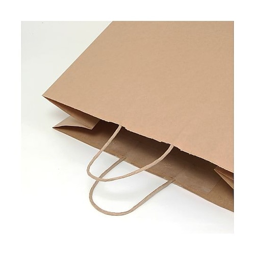 003296000 手提げ紙袋 未晒無地