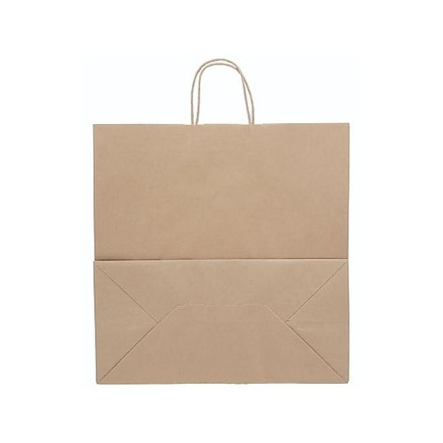 003296000 手提げ紙袋 未晒無地