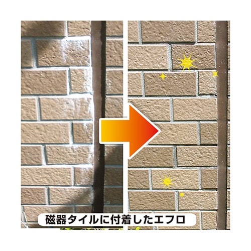 17660062100 復活洗浄剤